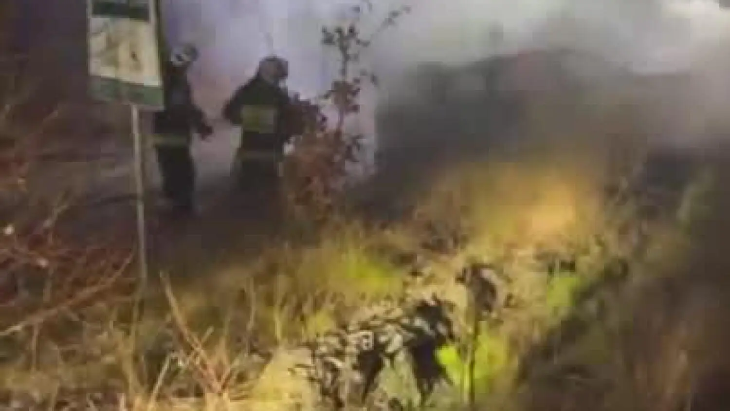 W lesie pod Kościerzyną spłonął samochód (wideo)