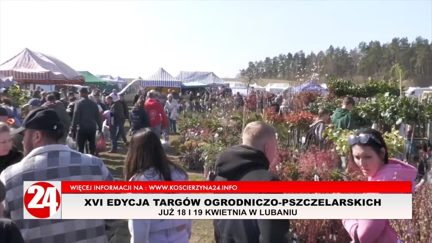 Wiosna zawita do Lubania